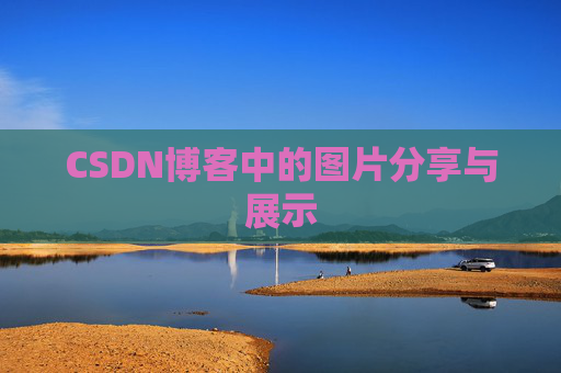 CSDN博客中的图片分享与展示